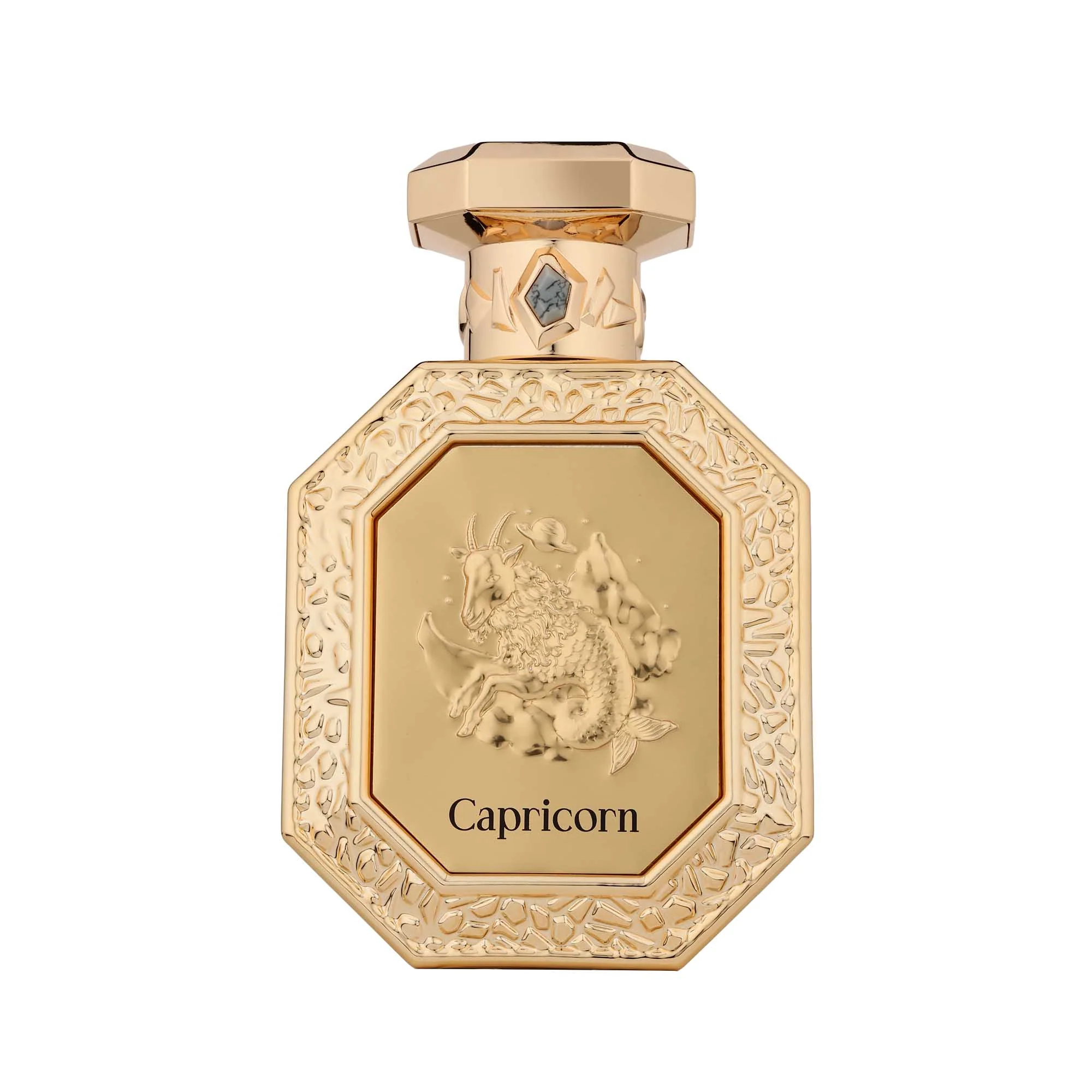 Capricorn - Image 3
