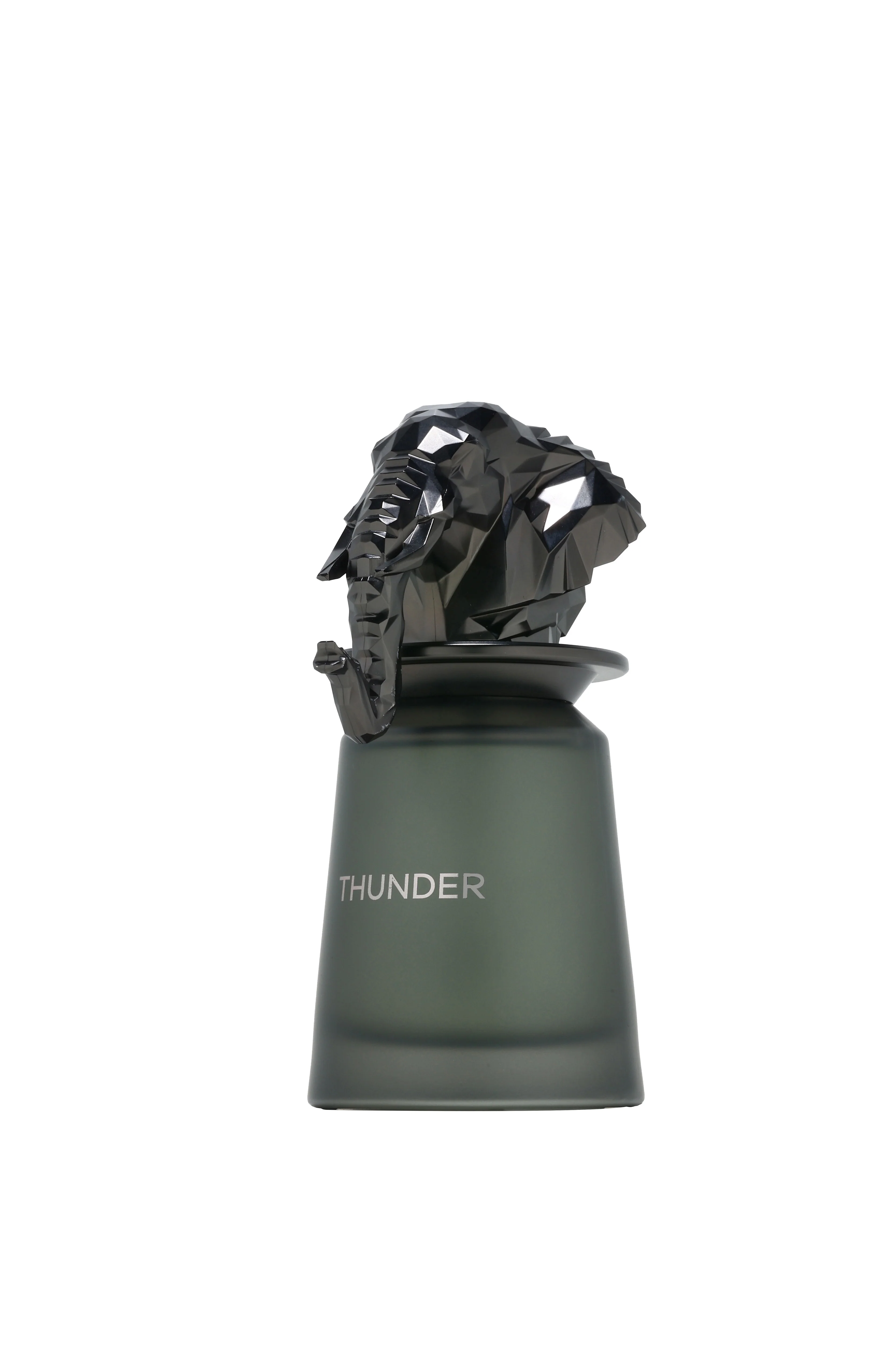 Thunder - Image 3